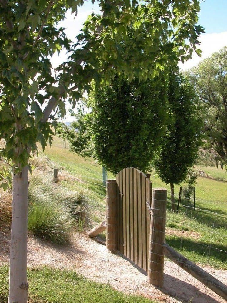 كرومويل Burn Cottage Retreat المظهر الخارجي الصورة