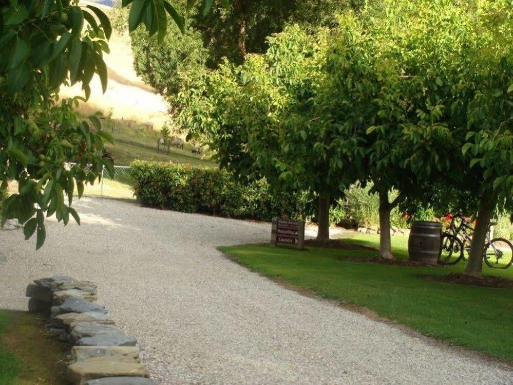 كرومويل Burn Cottage Retreat المظهر الخارجي الصورة